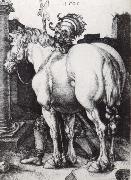 Albrecht Durer The Large Horse Spain oil painting artist
